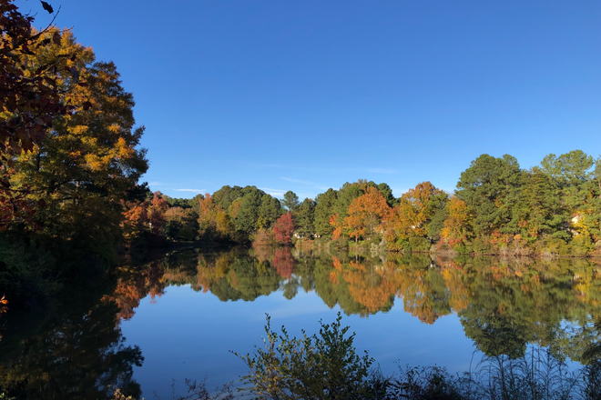 Autumn lake - Charming Duplex on Chapel Hill/Durham Border Duplex