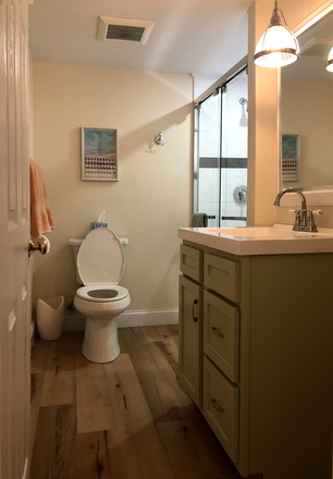 Full bathroom with walk in shower. - Bright, Private 1 Bedroom Apartment