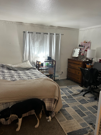 Bedroom - SPRING SUBLEASE - The Cove Apartments 1bedroom Shared Apartment Now Available