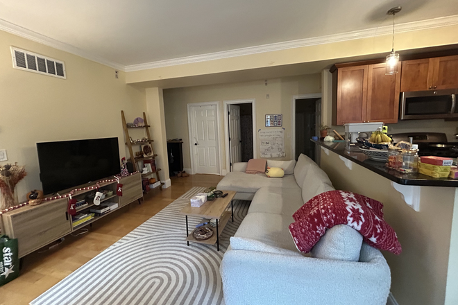 Living room - Orchard St. Sublet Apartments