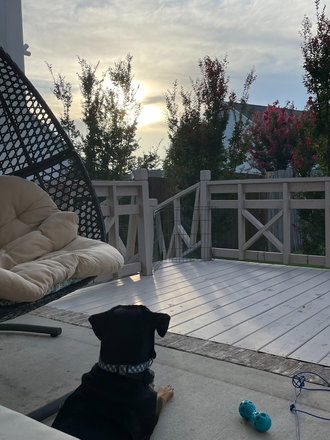 Back porch - 3BR / 2.5BA Townhome – Perfect for ECU Medical Students, Residents, and Healthcare Provider