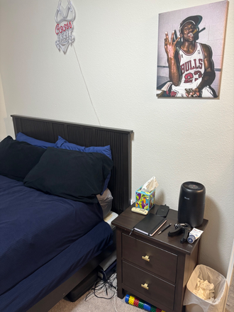 Bedroom Furniture if needed! - View House Spring Semester and optional Summer Sublease