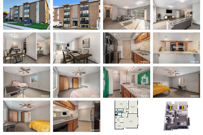 Apartment - Notre Dame Apartments (Irish Gold)