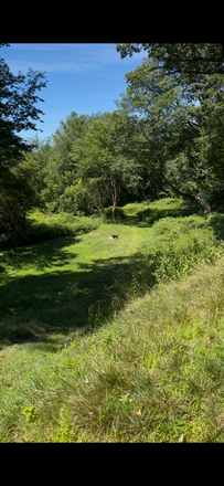 Back yard - Private room for rent, utilities included. House