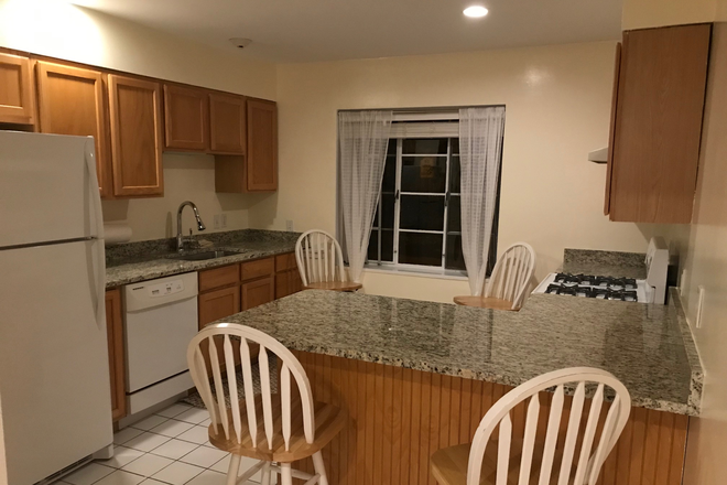 Kitchen - 1 Bed 1Bath Furnished Apartment