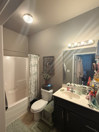 Bathroom - The James Apartments