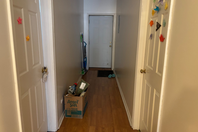 Back hallway to back door - Looking for ONE female roomate in spacious 3 bedroom apartment on campus