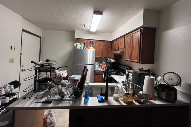 Kitchen - 2 Bed/2 Bath Apartment near Medical Campus