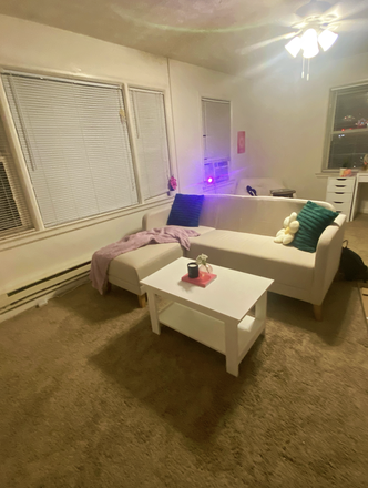 Living Room - 435 N Grant St, 1 bed 1 bath close to campus