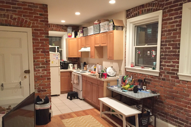 . - 4 bedroom 13 Haviland St #4- AVAIL 9/1/26 Apartments