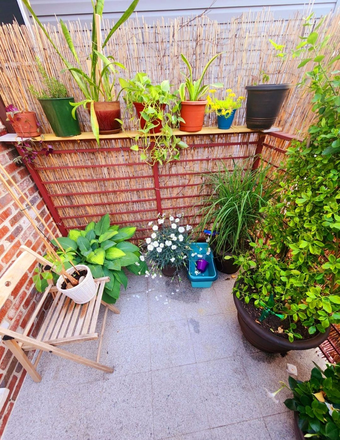 I - Pristine Amazing 3bdrm Apt Ridgewood