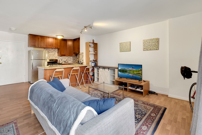 Living Room - Beautiful FULLY FURNISHED Studio Style Apartment for RENT SHARE. Female applicants only!!