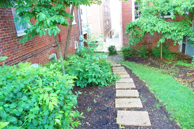 Walk Up - 1206-C Wertland House