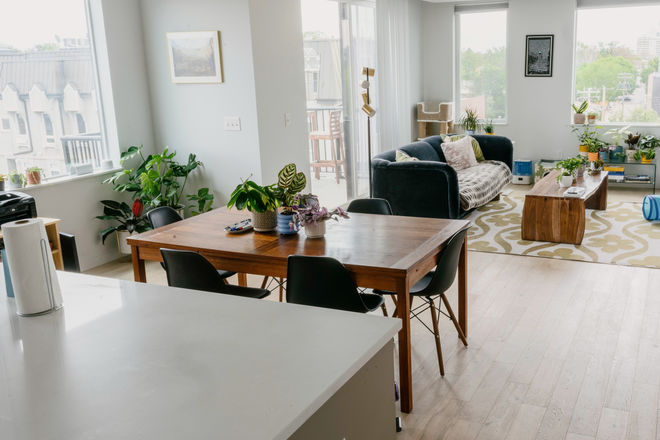 Dining room - One Bedroom Available in Shared Cap Hill/Cheesman Park Penthouse Condo!