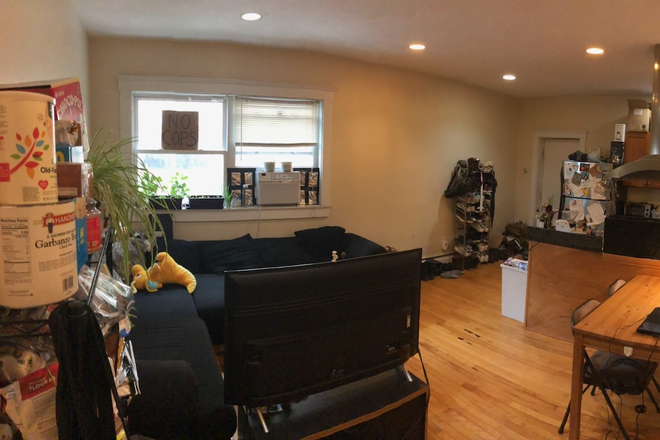 Living Room - NO FEES, COZY 3BR UNIT CLOSE TO HARVARD, MIT, MGH, HEAT INCLUDED Condo