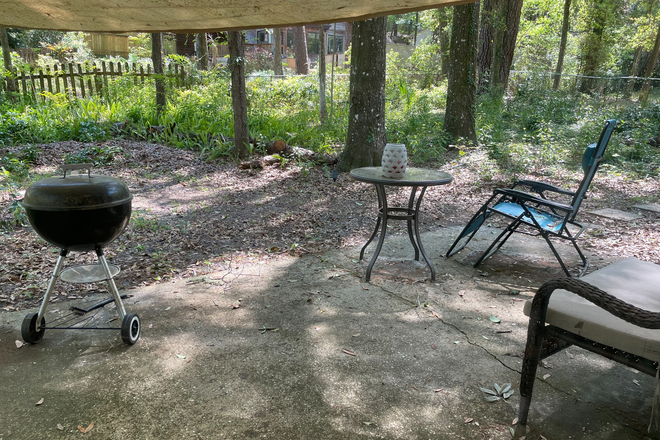 Back porch - 3BR/2BA Coral House, Walk to Stadium