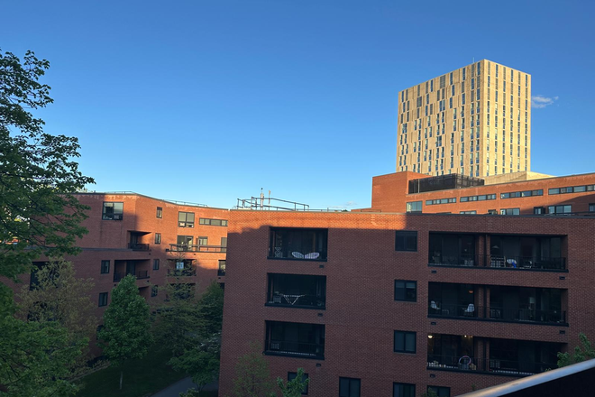 View - 2 Bed / 1 Bath Apartment Next to HBS! Utilities Included