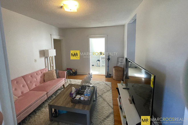 Call NOW for showings! 617-236-8600 - CHESTER ST - *NO FEE* LRG 3BR/1BA AVAIL *9/1/2026* NEAR MBTA W/ LNDRY IN BLDNG, H&HW INC, RNTL PRKNG Condo