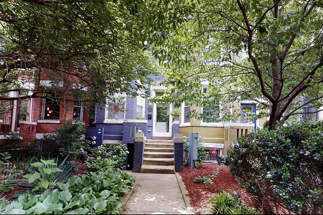 Front Yard - Bright 2 Bedroom On the BEST block of Columbia Heights