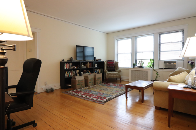 living room - Sunny and spacious Brookline 2 bed for 8/1 - NO FEE! Apartments