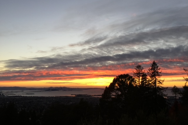 View from bedroom one and deck - 2 furnished Rooms with separate entrance in Berkeley Hills and kitchenet.