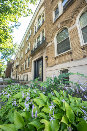 El Vista - El Vista Apartments