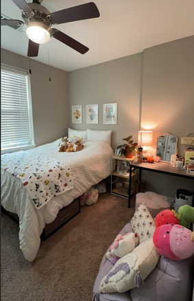 My full size bed, provided by the apartment. Comes with 4 large storage drawers under the bed. - The Standard Apartment, One bed, desk space, closet, and full bathroom! (part of a 2bed/2bath)