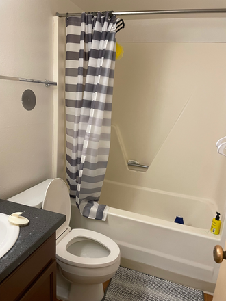 Bathroom - Roommate for Fall 2025 Apartments