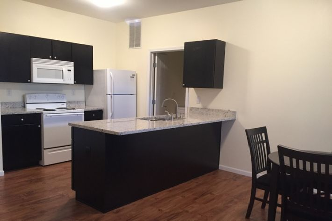 kitchen - 204 W Fowler Avenue / August 2026 - July 2027