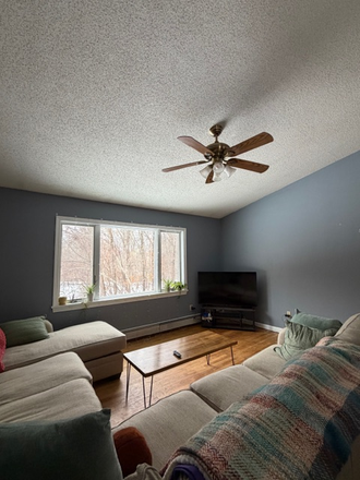 Living Room - Fully Furnished, Open to 12 ,24 months Convenient Location close to Uconn, Beautiful Living Spac House