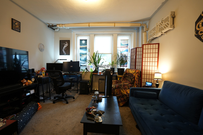 1 - OCT 2026 | Brighton 1 Bed, 1 Bath | Heat & Hot Water Included | Cats Welcome! | No Broker Fees! Apartments