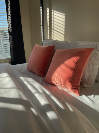 Private bedroom - Cozy Home in the Heart of Baltimore (Owner Occupied-Private bedroom/bathroom)