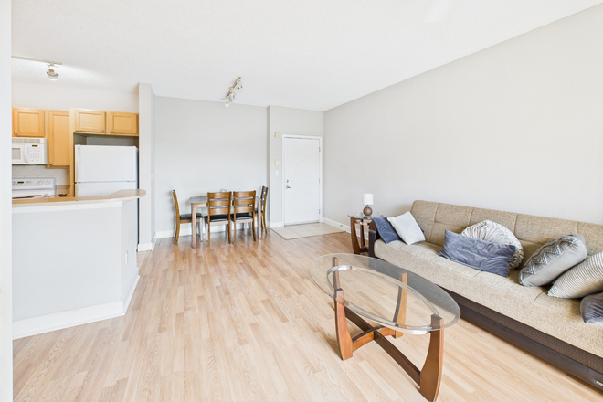 Living room - Spacious 2/1 unit in South Miami - great amenities assigned parking - close to UM Condo