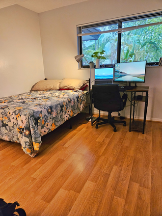 Room - Walk to campus: private room: en-suite bath Apartments