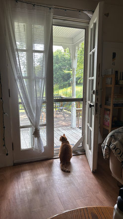 Cat not included - 1 Bed/1 Bath Summer Sublet Apartments