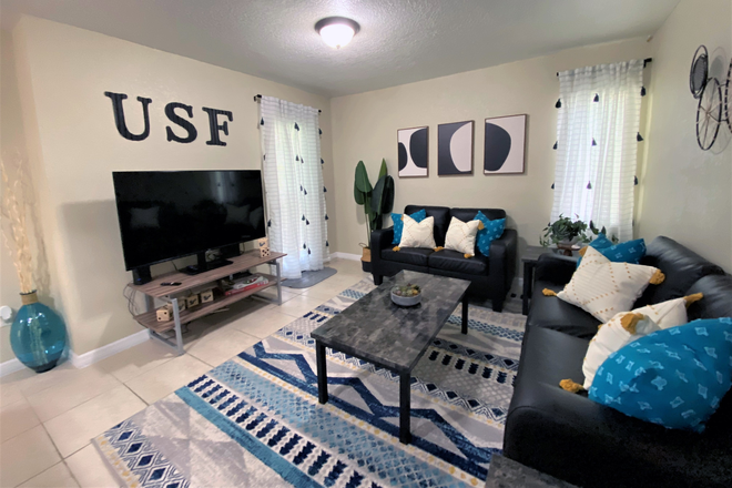 Huge HDTV in every living room - College Town at USF Apartments