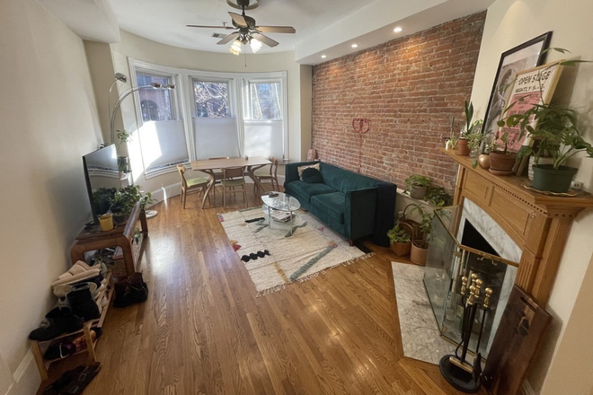 living room - Renovated 2 Bed / 1.5 Bath near campus w/ LAUNDRY IN UNIT!!! Avail. 9/1/25!! Apartments