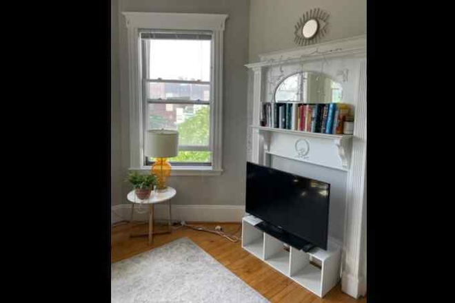 living - NO FEE minute to Mass Ave, Central sq, charming spacious, Apartments