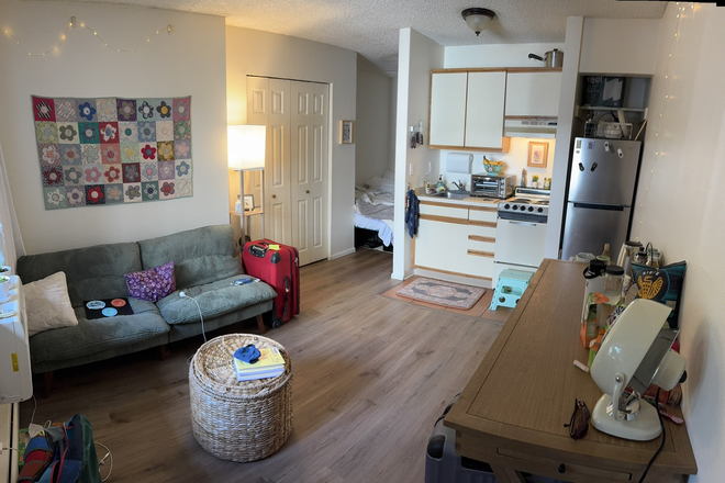 Main Space - Cozy Studio+ (furnished optional)