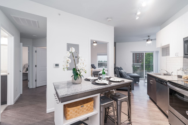 Entry View - Unit 309 The Muinzer Building Apartments