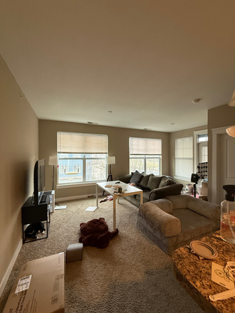 Living Room - Female Roommate for 2026-2027! 2B2.5B at Ivy Towns and Flats