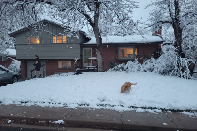 Outside Street View - House in Martin  Acres