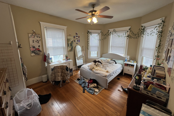 1 - SEPT 2025-Fantastic Davis Sq 3 bed. Student ok, Pets OK!