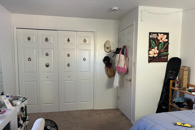 Bedroom view of closed closet and door - Sublet in House next to East Campus