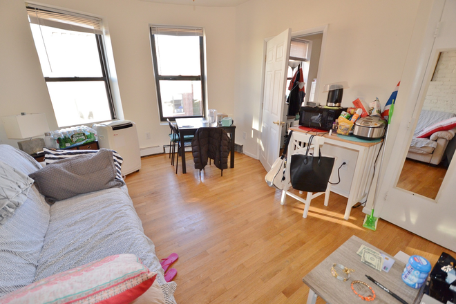 Living room - Beautiful and Modern 1Bed on Symphony Rd Avail 9/1/26 Apartments