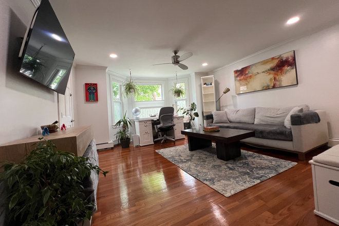 Living Room - Furnished 1BR/1BR Apartment for July-August 2026 in Cambridge