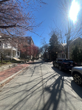 Arlington Street - Move-In Ready Studio with Lofted Bed & Utilities Included