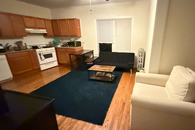 Living Room - Ridge/Noyes Apartment