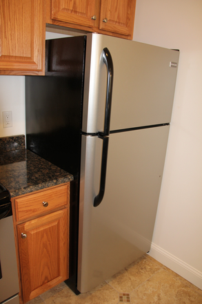 Stainless Steel Appliances - 2 Bedroom Suite - $1000 Duplex