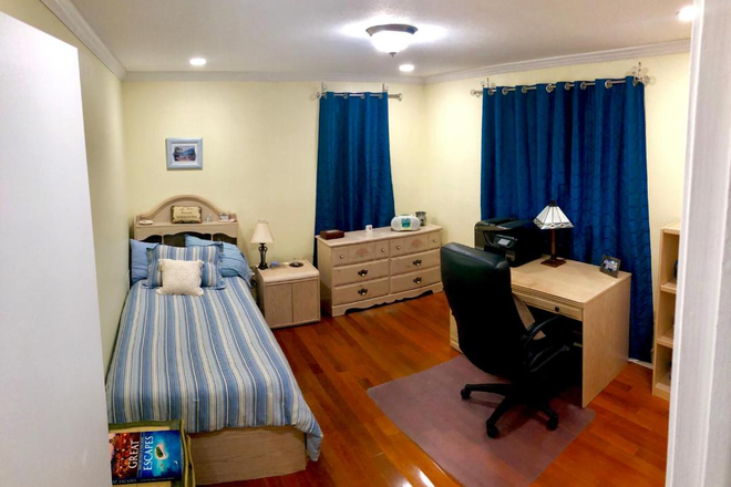 Bedroom - SEEKING MALE STUDENT/PROFESSIONAL FOR ROOM IN HOME W/PVT. ENTRANCE 6 MINS TO USF